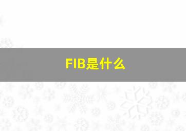 FIB是什么(