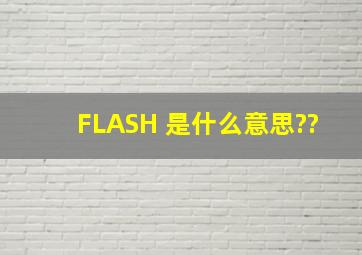 FLASH 是什么意思??