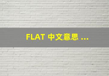 FLAT 中文意思 ...