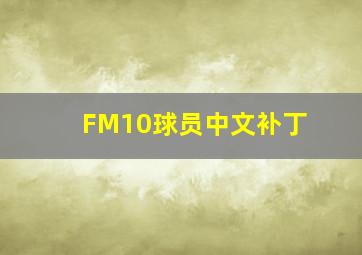 FM10球员中文补丁