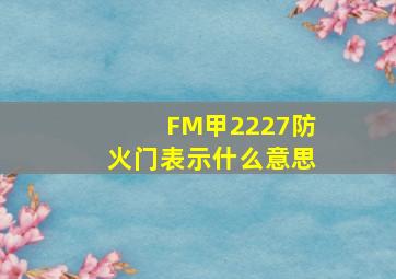 FM甲2227防火门表示什么意思