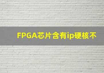 FPGA芯片含有ip硬核不