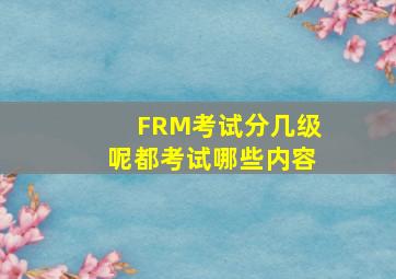 FRM考试分几级呢(都考试哪些内容