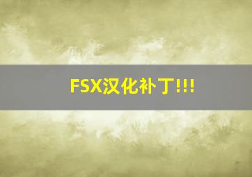 FSX汉化补丁!!!