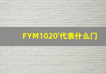 FYM1020'代表什么门