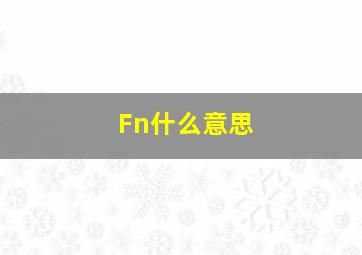 Fn什么意思