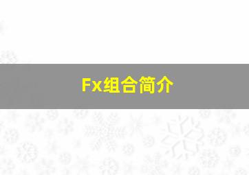 Fx组合简介