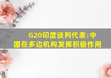 G20印度谈判代表:中国在多边机构发挥积极作用