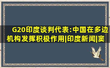 G20印度谈判代表:中国在多边机构发挥积极作用|印度新闻|窦文涛|印度...