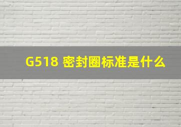G518 密封圈标准是什么