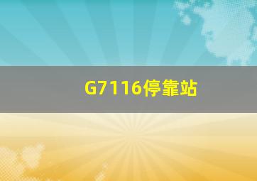 G7116停靠站