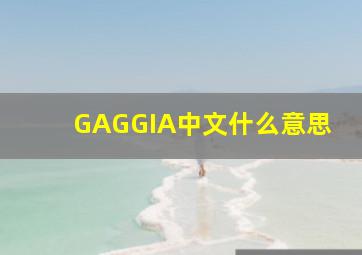 GAGGIA中文什么意思