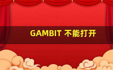 GAMBIT 不能打开