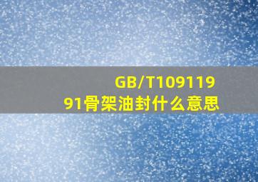 GB/T10911991骨架油封什么意思