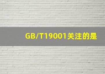 GB/T19001关注的是()。