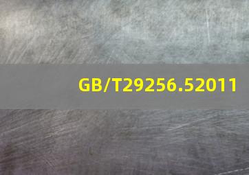 GB/T29256.52011