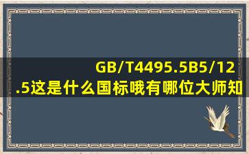 GB/T4495.5B5/12.5这是什么国标哦(有哪位大师知道啊求发一份。