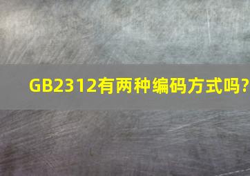 GB2312有两种编码方式吗?