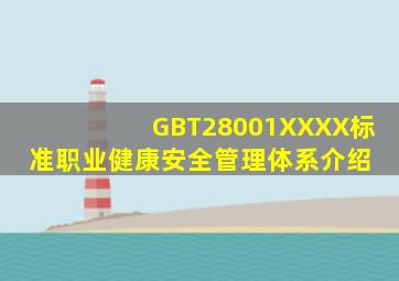 GBT28001XXXX标准职业健康安全管理体系介绍 