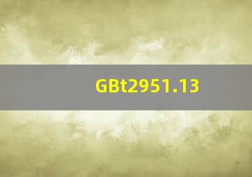 GBt2951.13