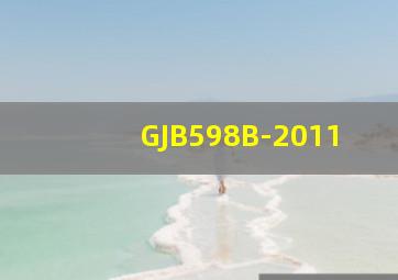 GJB598B-2011
