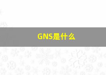 GNS是什么