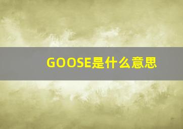 GOOSE是什么意思