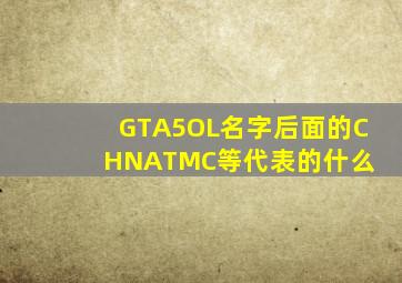 GTA5OL名字后面的CHNA、TMC等代表的什么 