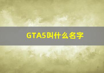 GTA5叫什么名字 