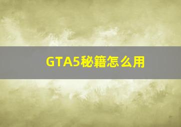 GTA5秘籍怎么用 