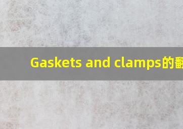 Gaskets and clamps的翻译