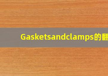 Gasketsandclamps的翻译