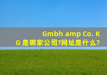 Gmbh & Co. KG 是哪家公司?网址是什么?