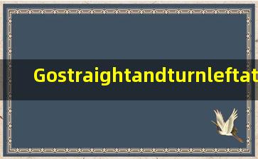 Gostraightandturnleftatthefirst翻译