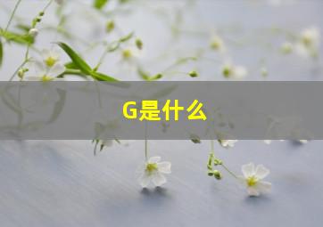 G是什么