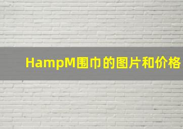 H&M围巾的图片和价格