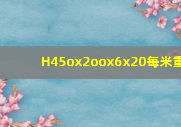 H45ox2oox6x20每米重