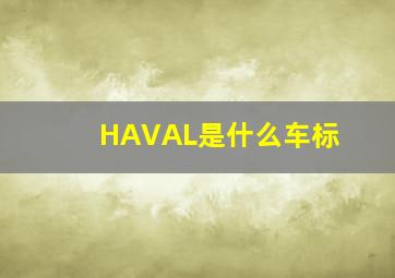 HAVAL是什么车标