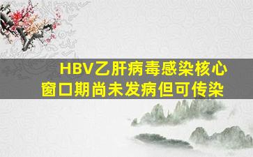 HBV(乙肝病毒)感染核心窗口期(尚未发病但可传染