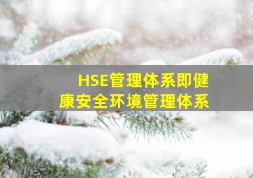 HSE管理体系,即健康、安全、环境管理体系。