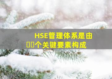 HSE管理体系是由()个关键要素构成。