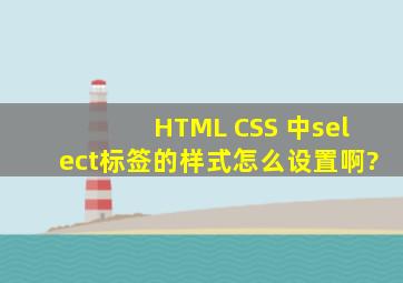HTML CSS 中select标签的样式怎么设置啊?