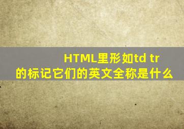 HTML里形如td tr的标记,它们的英文全称是什么