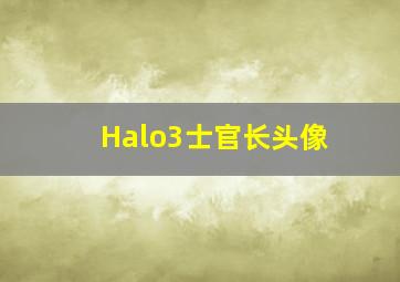 Halo3士官长头像