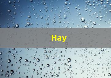 Hay