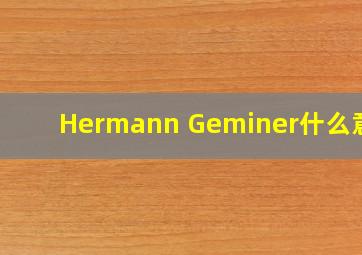 Hermann Geminer什么意思