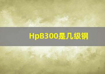 HpB300是几级钢