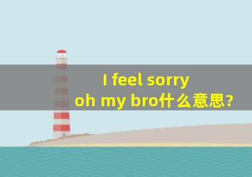 I feel sorry oh my bro什么意思?