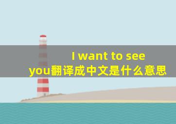 I want to see you翻译成中文是什么意思。