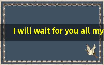 I will wait for you all my life.是什么意思